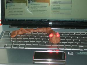 New version of the conficker worm