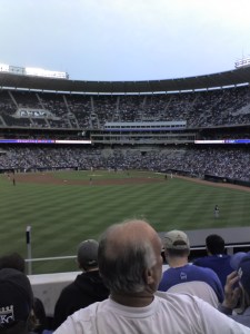 View from the $7 seats