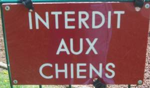 Interdit Aux Chiens