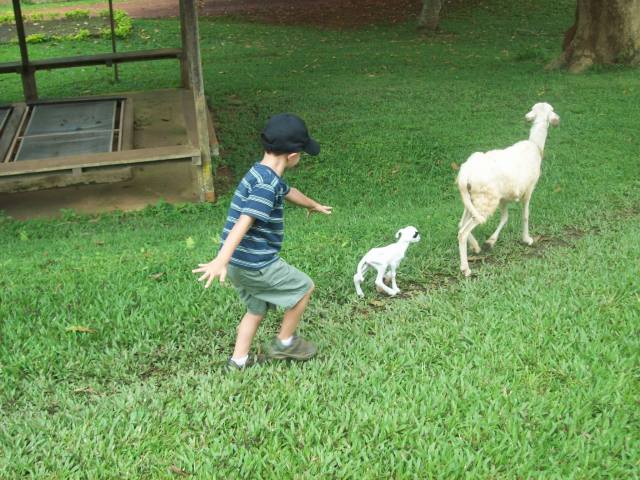Jonah the sheep herder