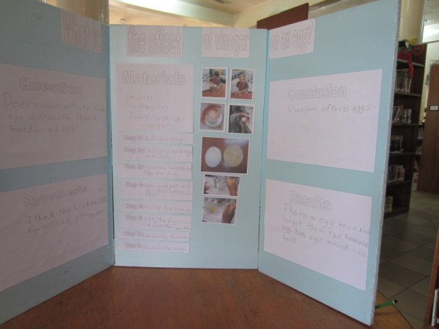 science fair project