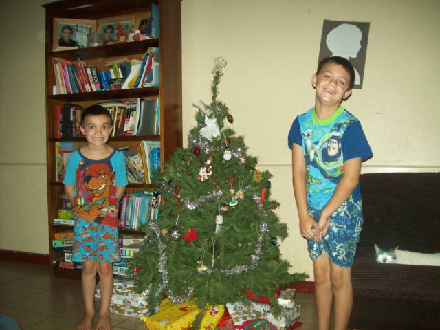 2011 Tree