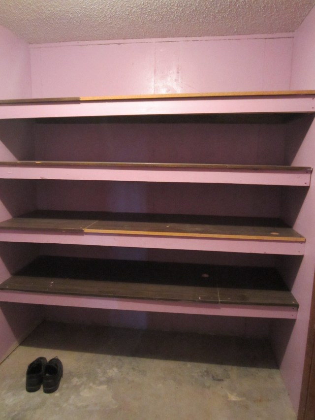 Shelves Before